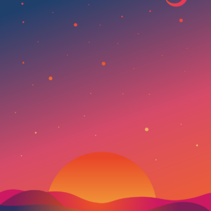 The History Of A Website